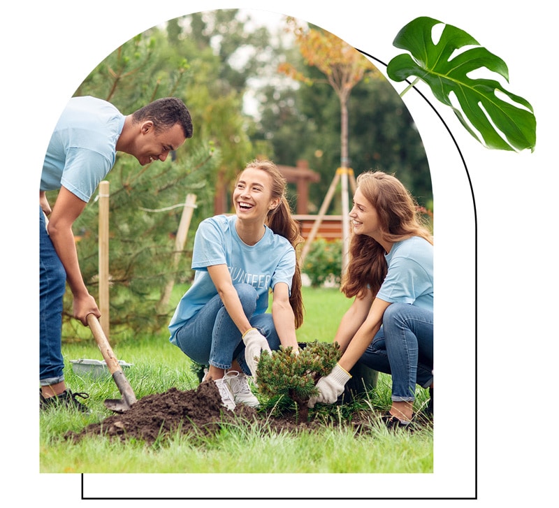 A man and two women volunteering and planting a bush outside.