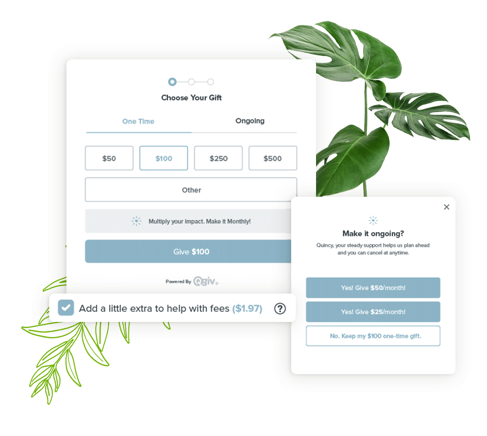 Bloomerang Fundraising forms
