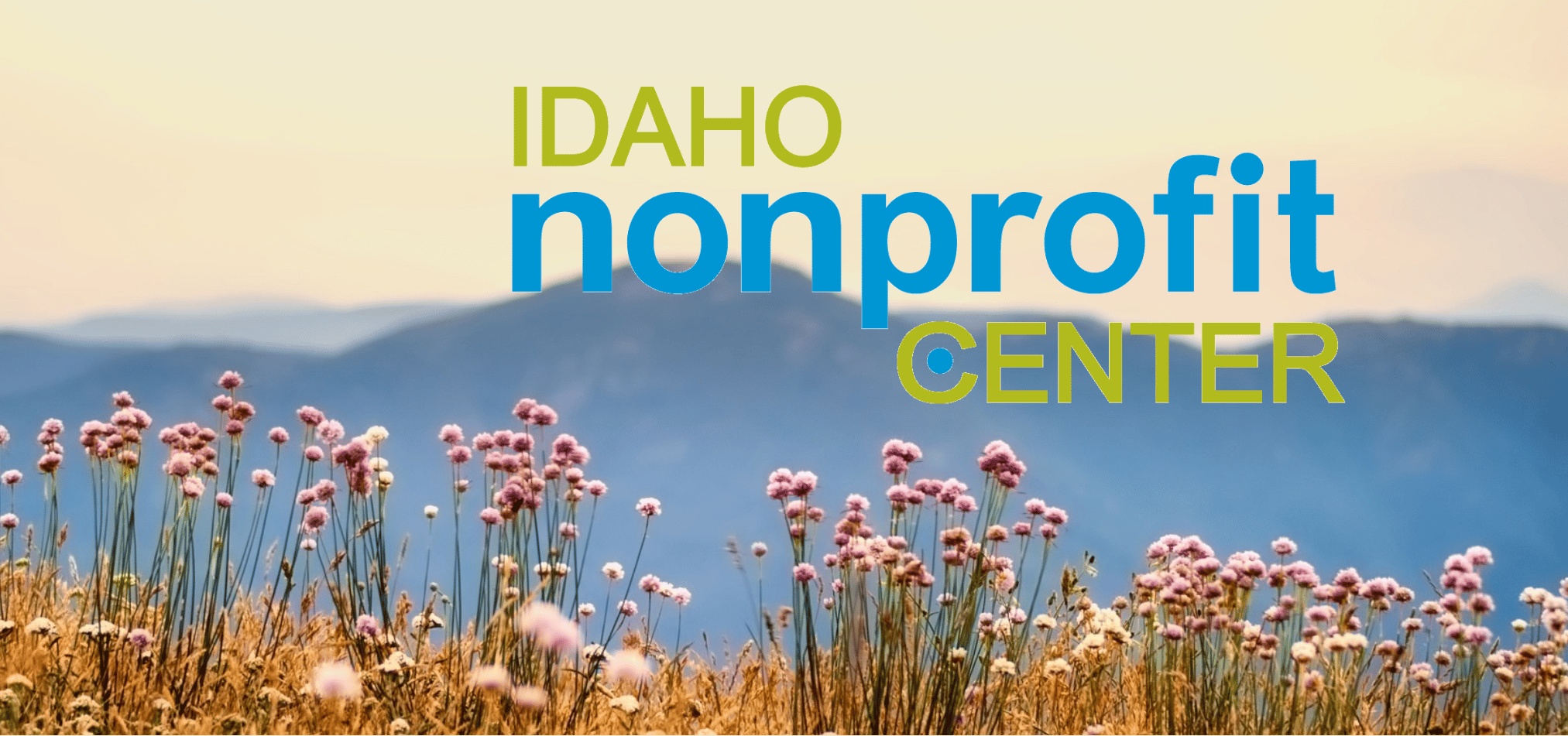 Idaho Nonprofit Center Logo over a field of mountain flowers