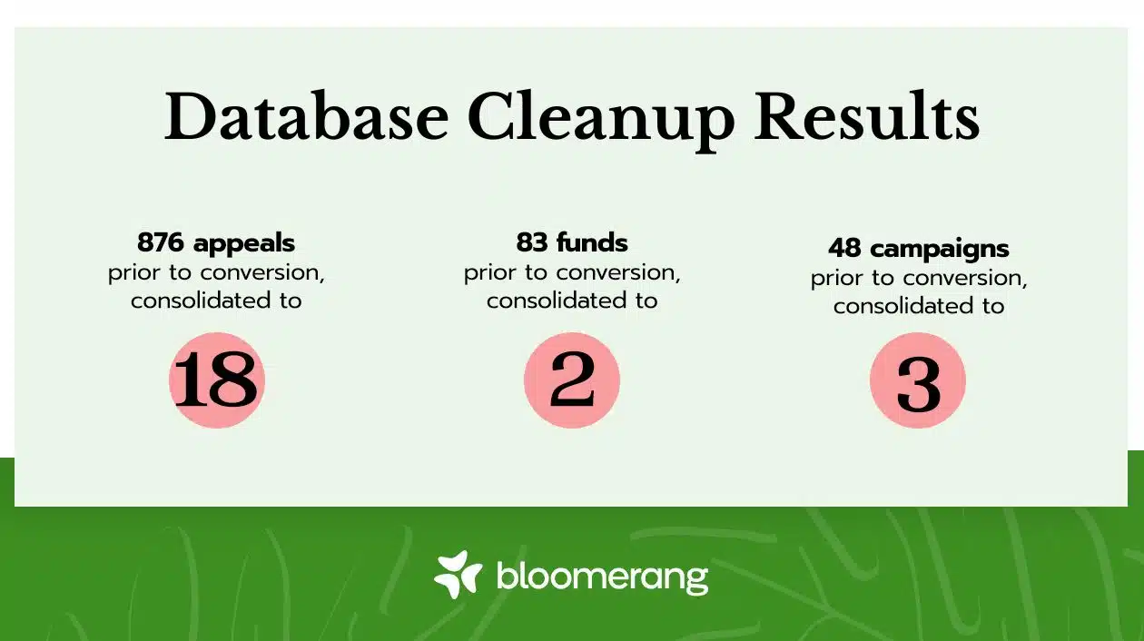 A chart is shown for Data Base Cleanup for the American Friends of Beit Issie Shapiro