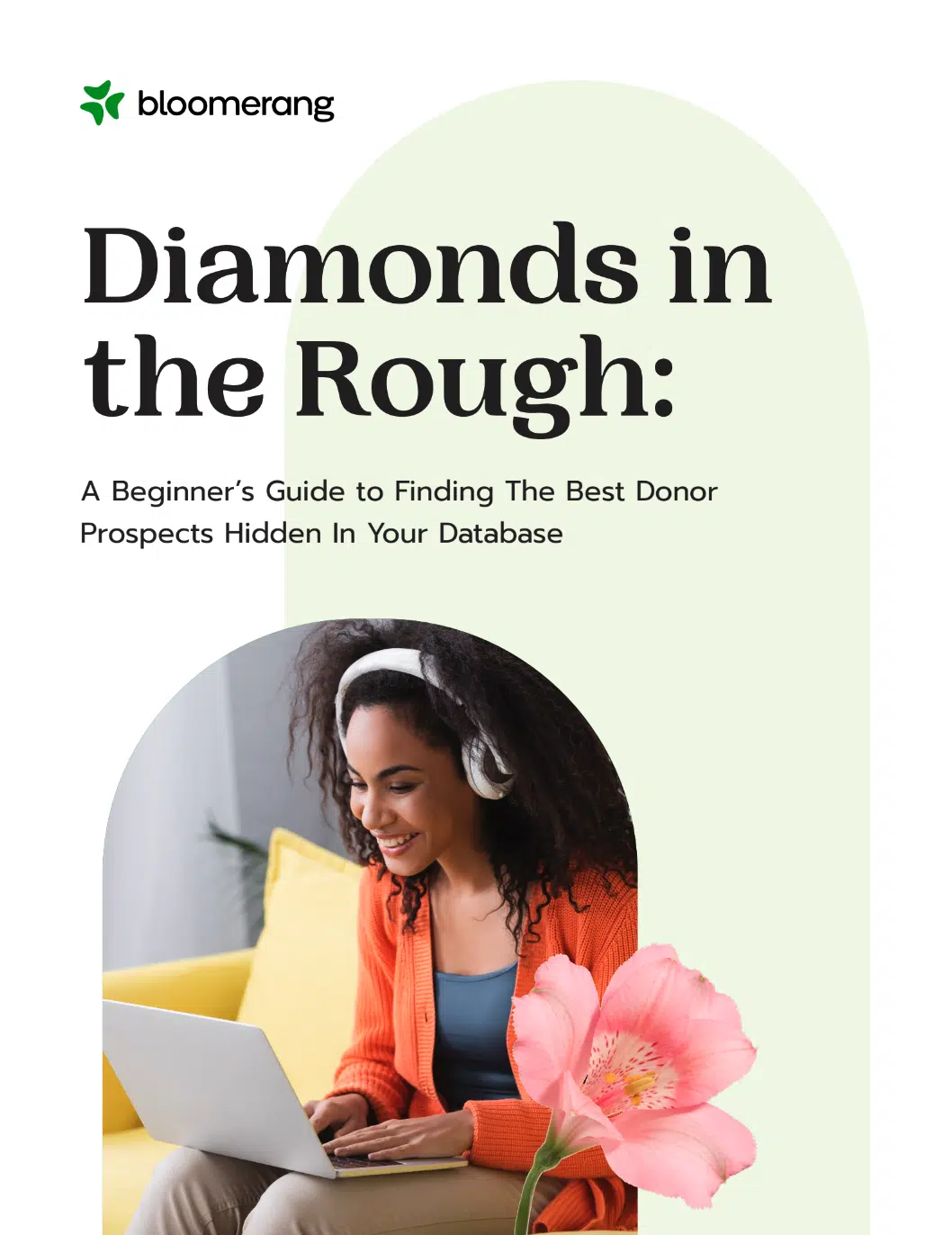 Diamonds in the Rough: Find the Best Donor Prospects Hidden in Your Database