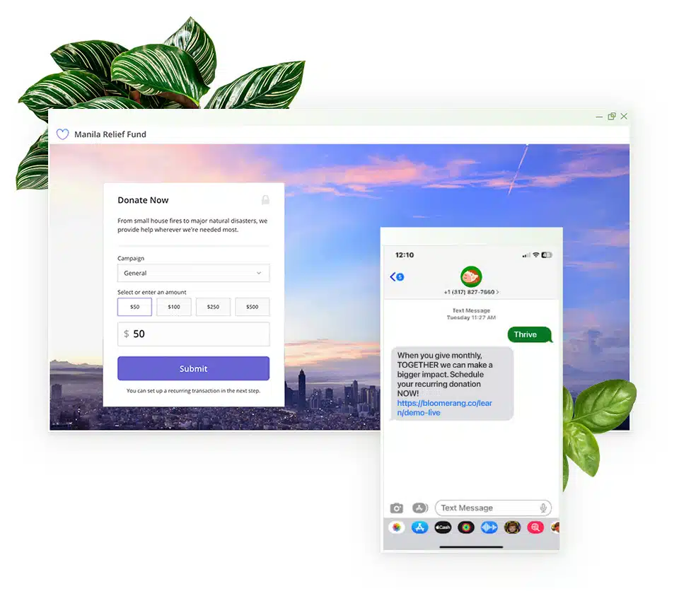 Bloomerang Donation Tools