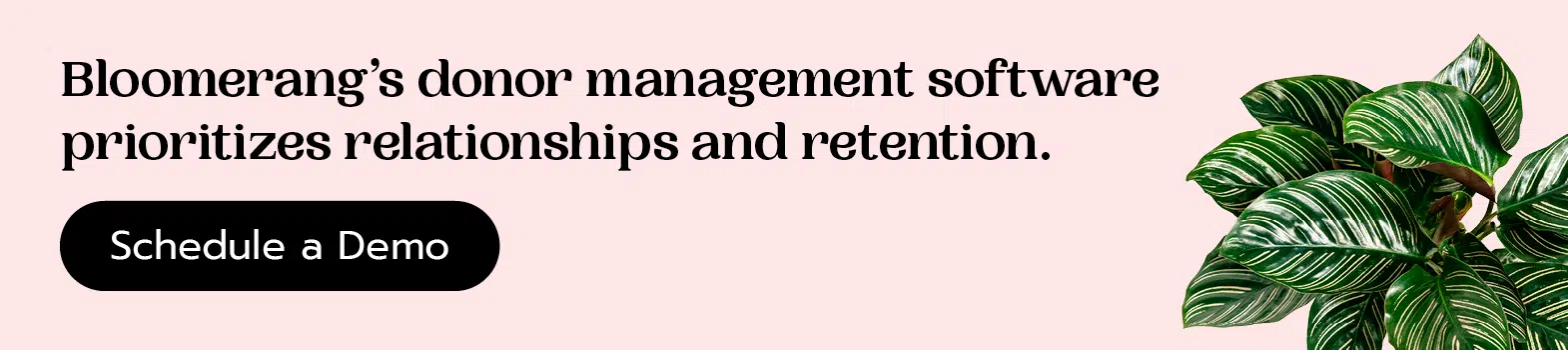 Bloomerang’s donor management software prioritizes relationships and retention. Schedule a demo.