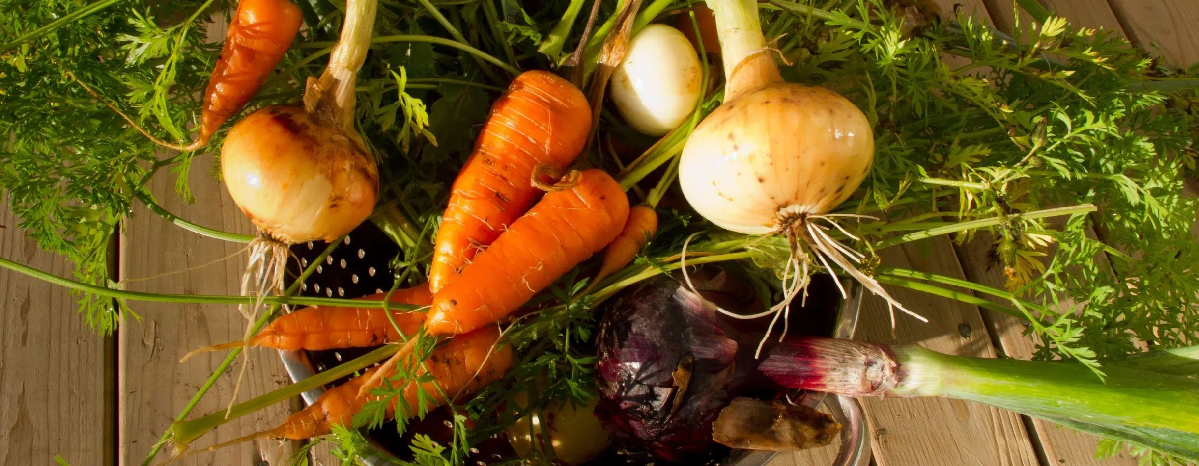 Fresh vegtables like those served at Community Link, a Bloomerang customer
