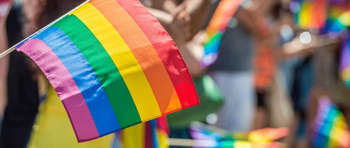 people waving Pride flags