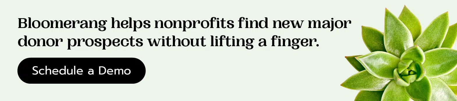Bloomerang helps nonprofits find new major donor prospects without lifting a finger. Click here to schedule a demo.