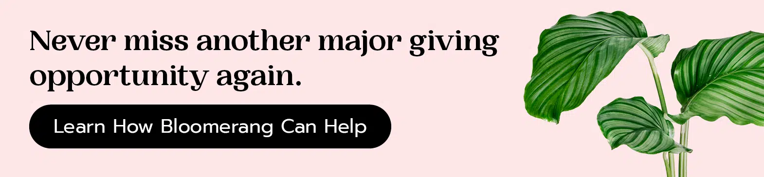 Never miss another major giving opportunity again. Learn how Bloomerang can help by scheduling a demo here.
