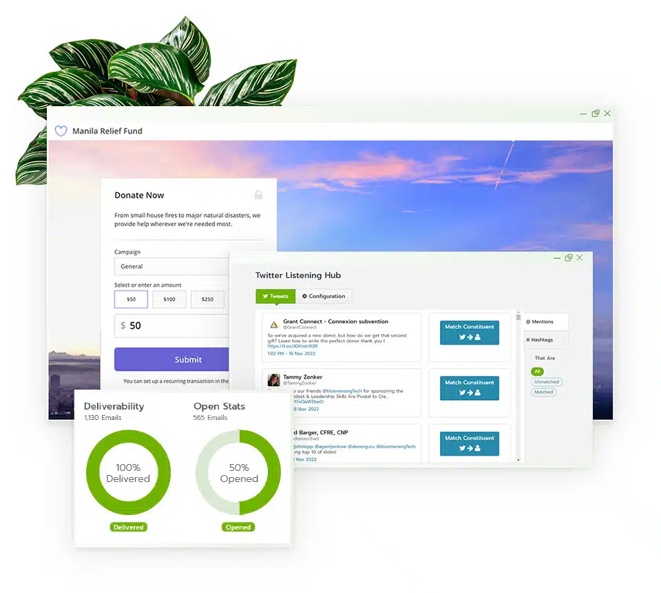 Bloomerang software features