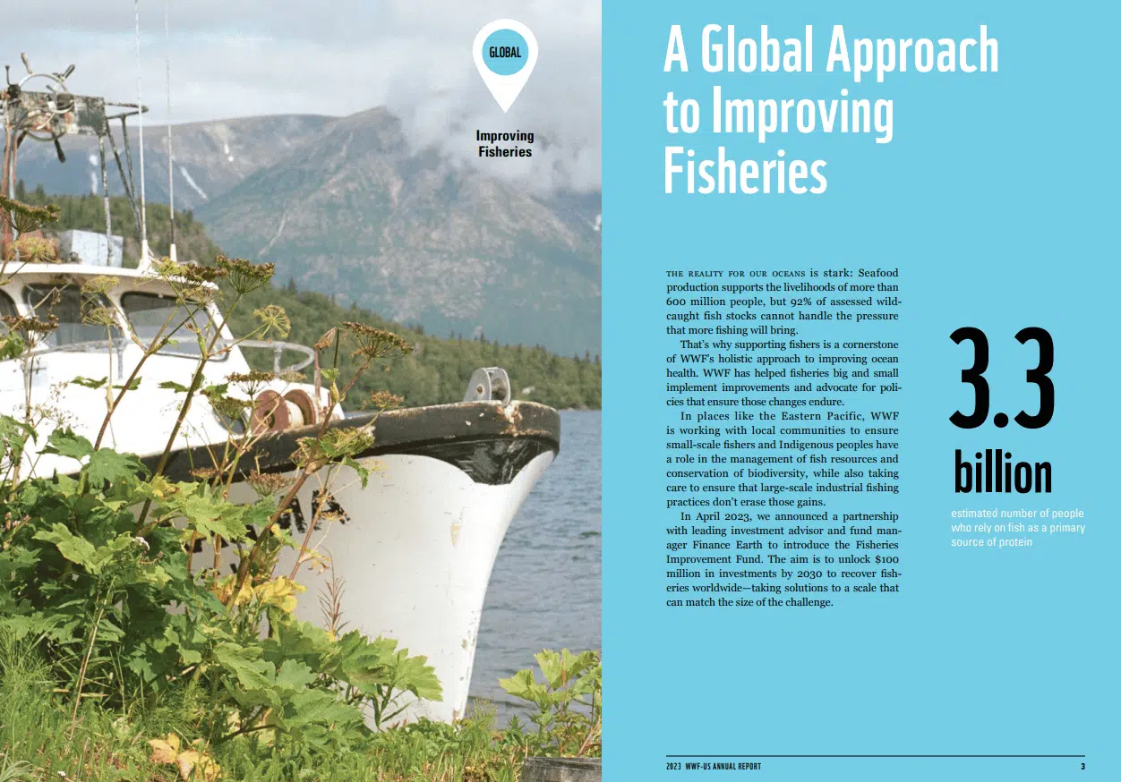 Screenshot from the WWF's 2023 nonprofit annual report