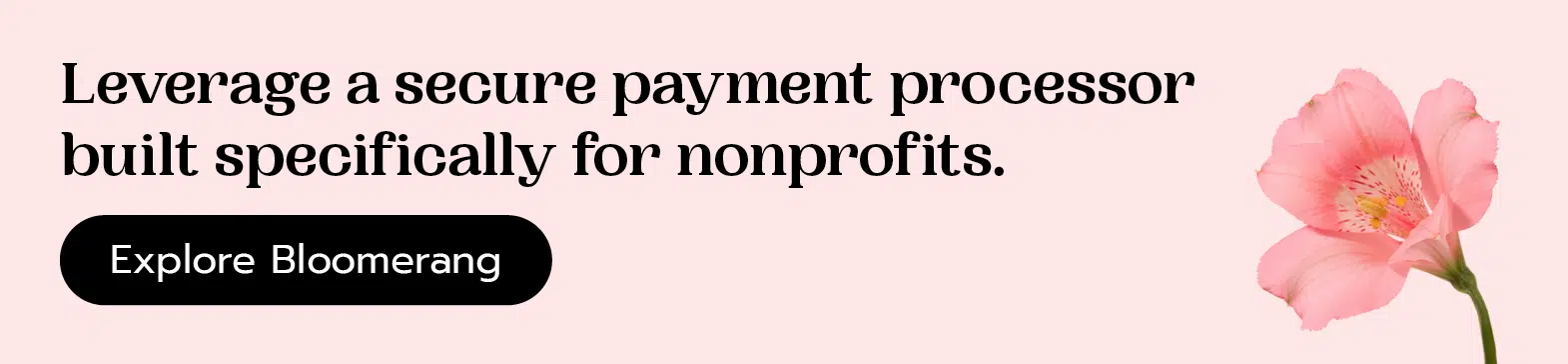Leverage a secure payment processor built specifically for nonprofits. Click here for a Bloomerang demo.