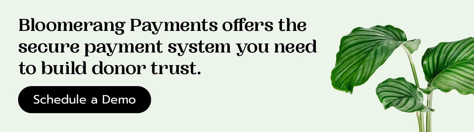 Bloomerang Payments offers the secure payment system you need to build donor trust. Schedule a demo here.
