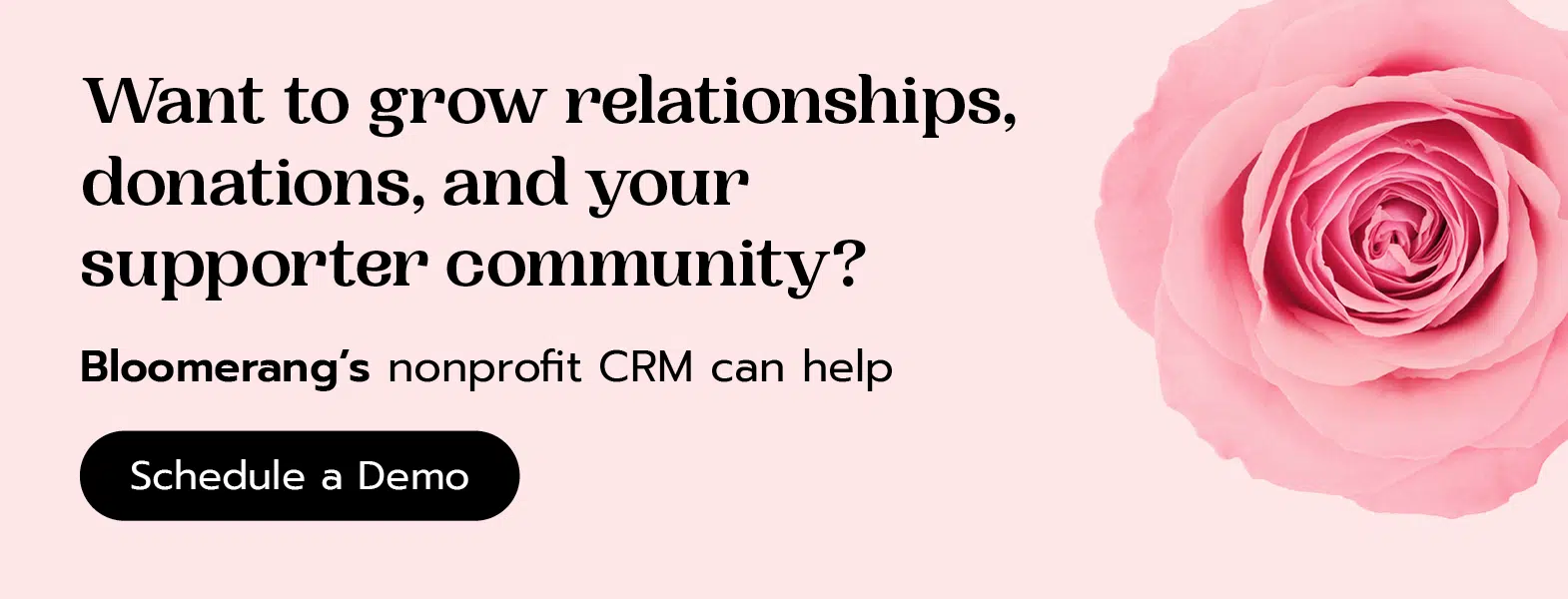 Want to grow relationships, donations, and your supporter community? Bloomerang can help. Schedule a demo.