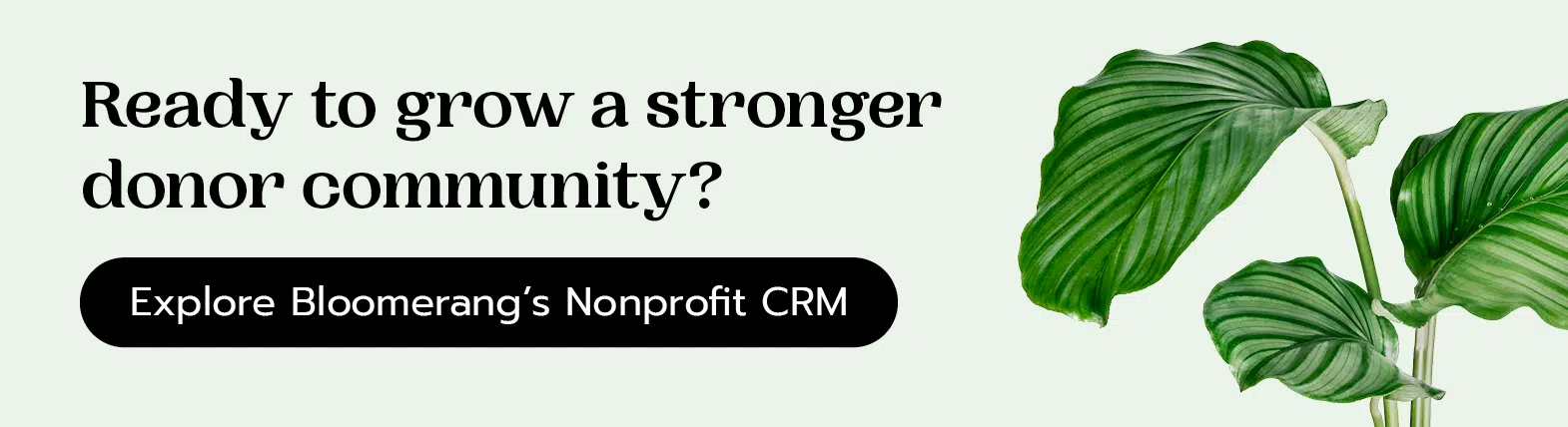 Ready to grow a stronger donor community? Explore Bloomerang’s nonprofit CRM.