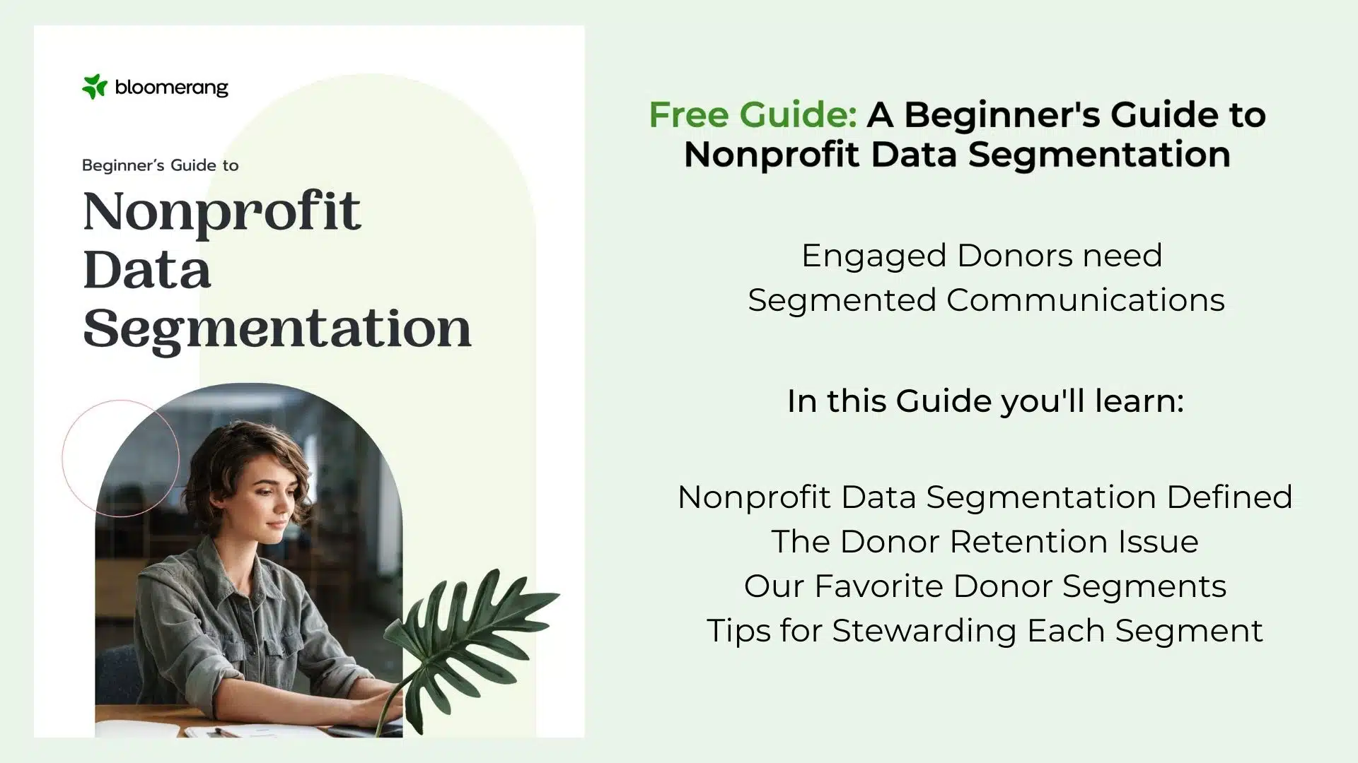 Nonprofit Data Segmentation eBook Banner