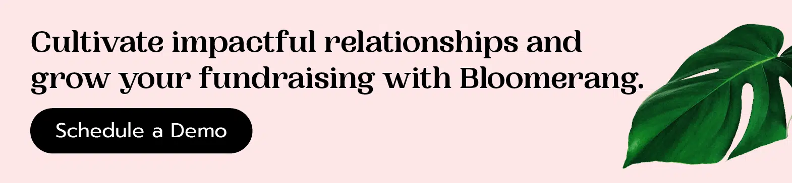Cultivate impactful relationships and grow your fundraising with Bloomerang. Schedule a demo here.