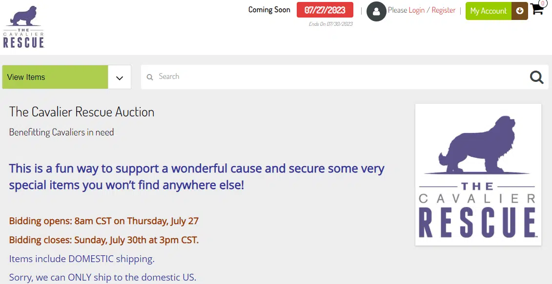 This is an example of an online fundraising auction.
