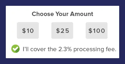 Provide suggested giving levels to encourage people to give more as a part of your online fundraising strategy.