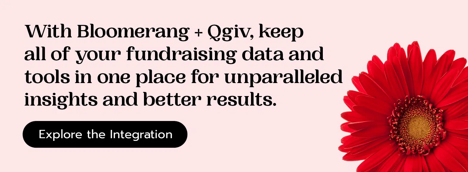 With Bloomerang + Qgiv, keep all of your fundraising data and tools in one place for unparalleled insights and better results.