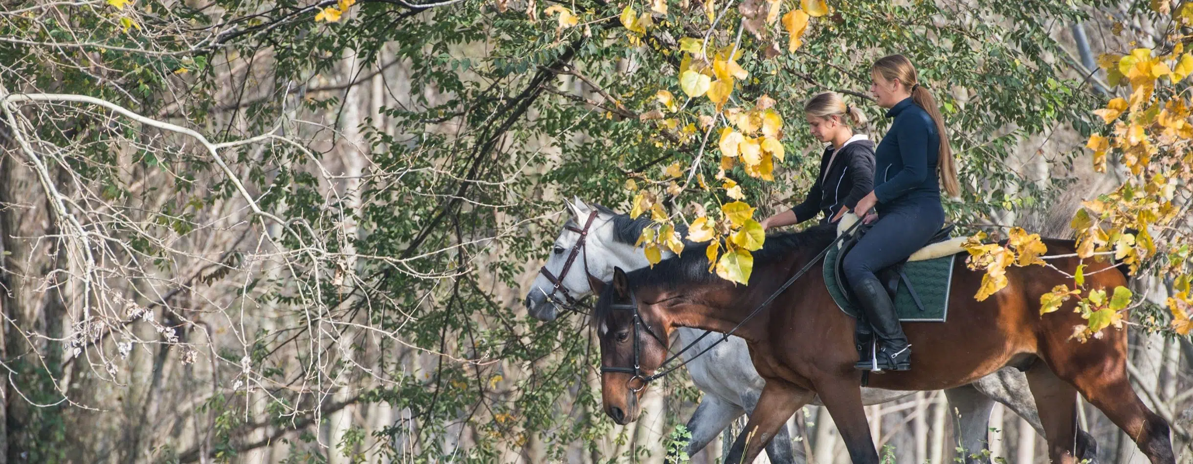 Two people riding horses