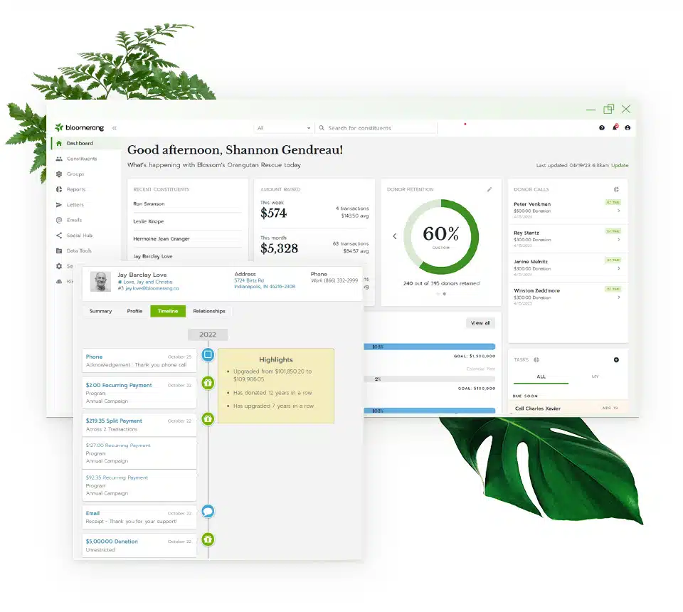 Bloomerang User Interface