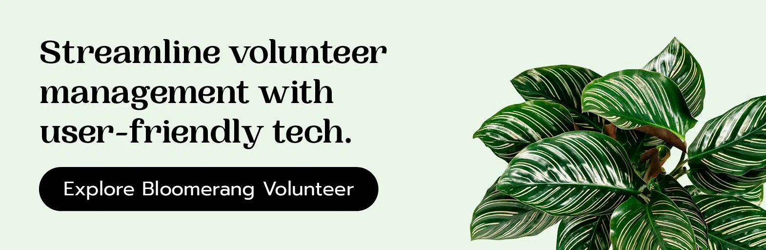 Streamline volunteer management with user-friendly tech. Explore Bloomerang Volunteer here.
