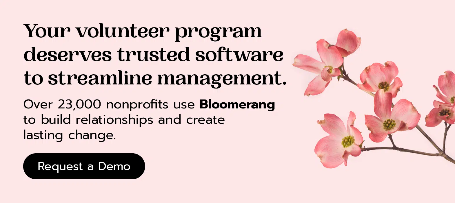 Over 23,000 nonprofits use Bloomerang to build relationships and create lasting change. Request a demo here. 