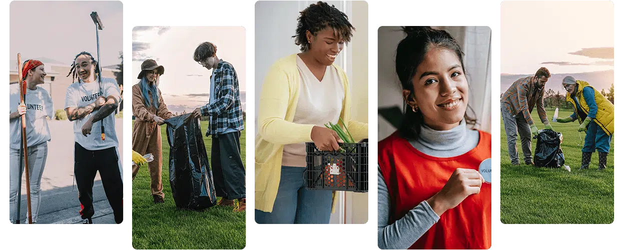 Different groups of people volunteering.
